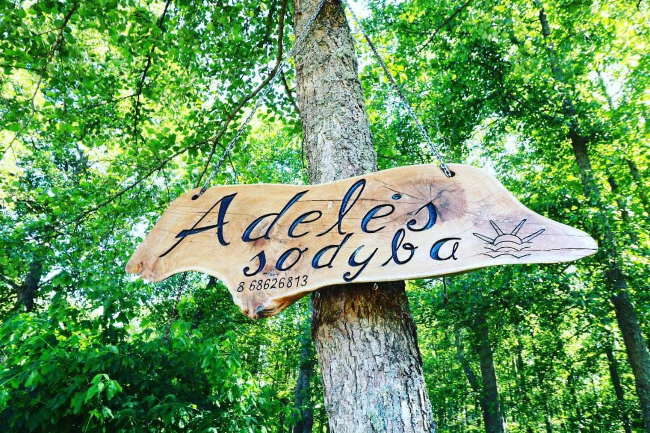 Namelis Nr 2 Adeles Sodyba Muize Bagian luar foto