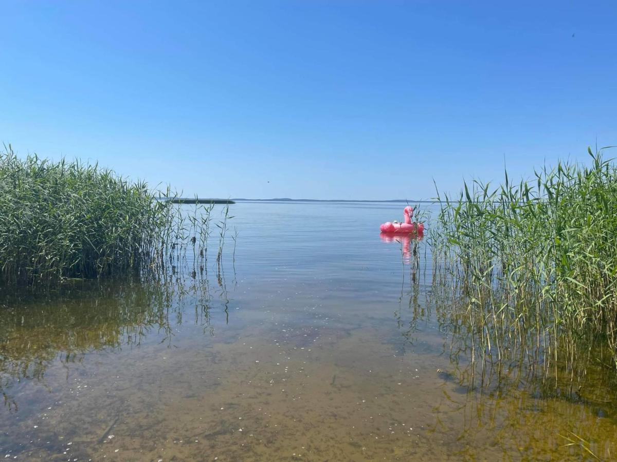 Namelis Nr 2 Adeles Sodyba Muize Bagian luar foto